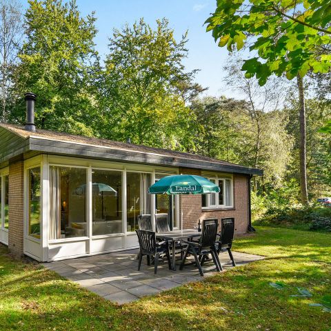 Bungalow 4 Personen - 4CK