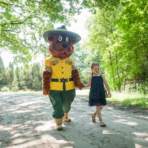 Landal Heihaas - Camping Ermelo - Image N°6
