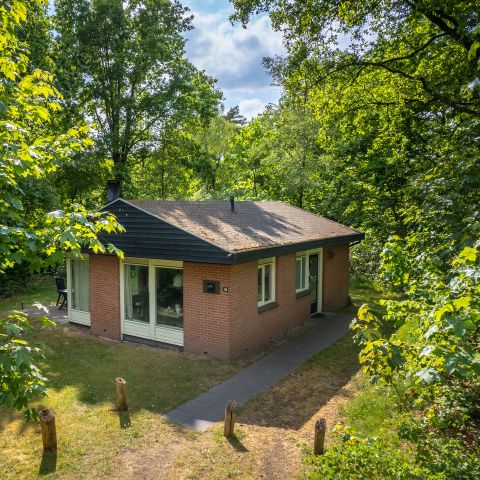 Landal Heihaas - Camping Ermelo - Image N°4