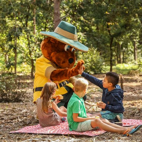 Landal Rabbit Hill - Camping Apeldoorn - Image N°5