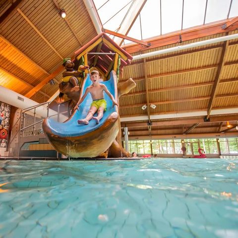 Landal Rabbit Hill - Camping Apeldoorn - Image N°4