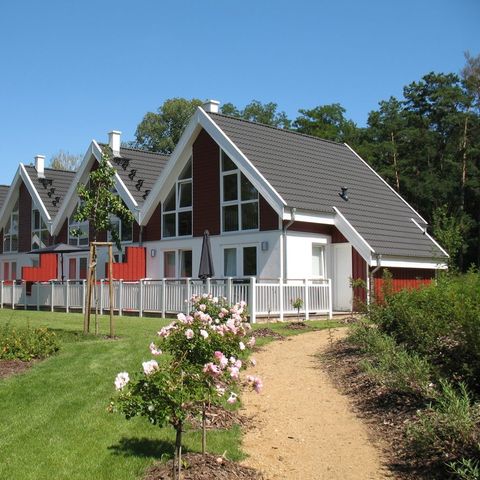 FERIENHAUS 6 Personen - 4+2 (bis 12 J.) Falster