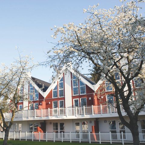 Apartement 6 Personen - 4+2 (bis 12.J) Alsen