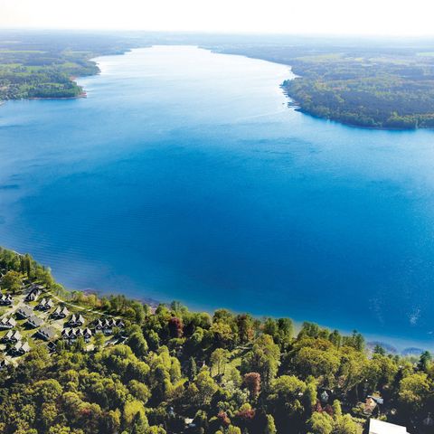 Schlosspark Bad Saarow - Brandenburg - Image N°2