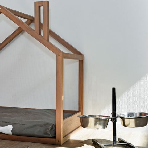 Villa 4 Personen - 4CD-Hunde