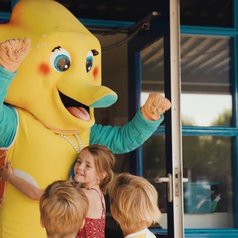 Villapark De Paardekreek - Nord-Beveland - Image N°4