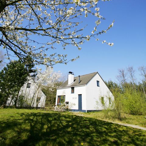 Bungalow 6 Personen - Exklusiv KM533