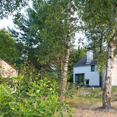 Bungalow 8 Personen - KM537 auswählen