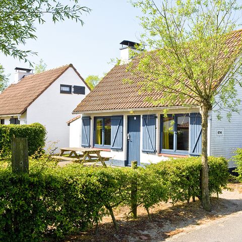 Bungalow 6 personen - OD517 auswählen