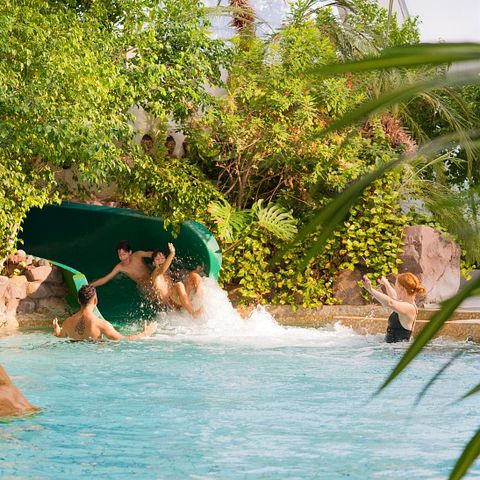 Sunparks Oostduinkerke aan Zee - Camping Westflandern - Image N°4