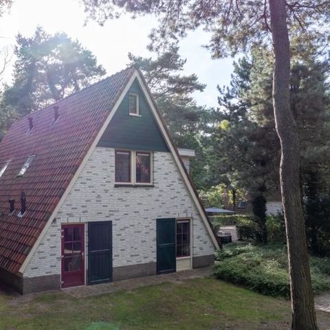 FERIENHAUS 18 Personen - FV18 Komfort Plus