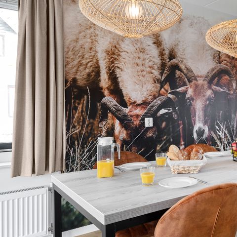 FERIENHAUS 4 Personen - Hunze