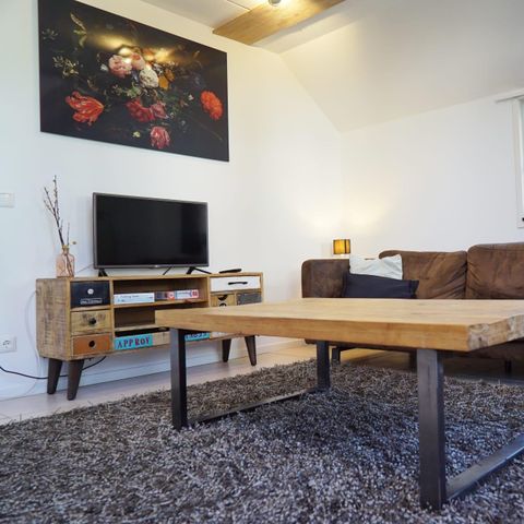 FERIENHAUS 8 Personen - Villa Veluwe