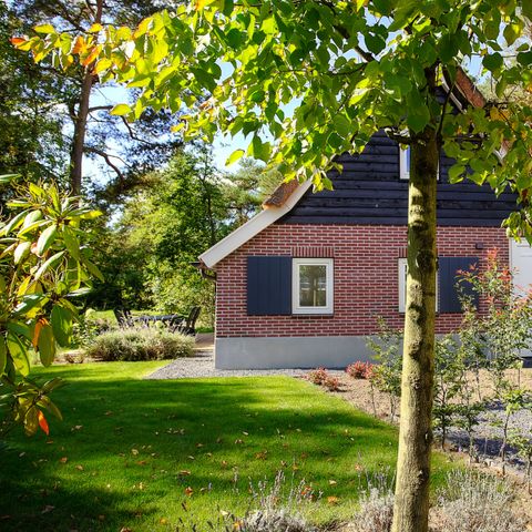 FERIENHAUS 6 Personen - Villa Veluwe