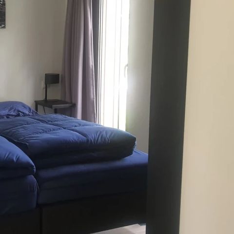 Bungalow 6 Personen - Würfel teilen