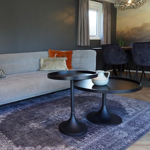 Chalet 4 Personen - Velthorst