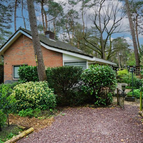 Bungalow 6 Personen - Waldhaus