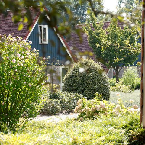 Vakantiepark Molendal - Camping Mook und Middelaar - Image N°4