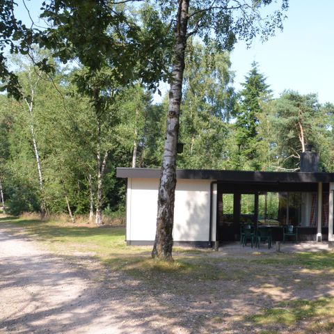 Bungalow 6 Personen - Wald