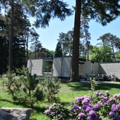 Bungalow 6 Personen - Ommer haustierfreundlich