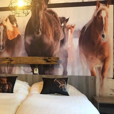 Bungalow 6 Personen - Pony