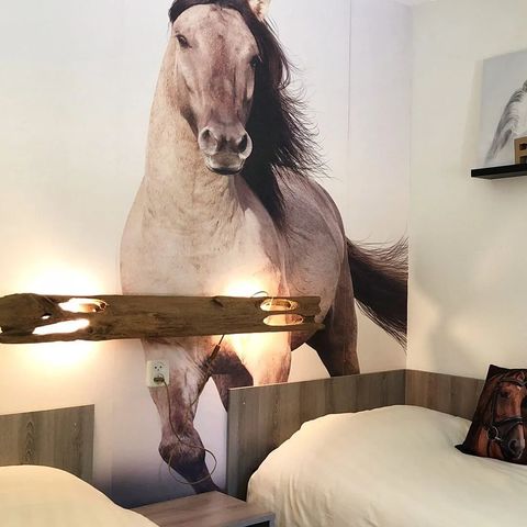 Bungalow 6 Personen - Pony