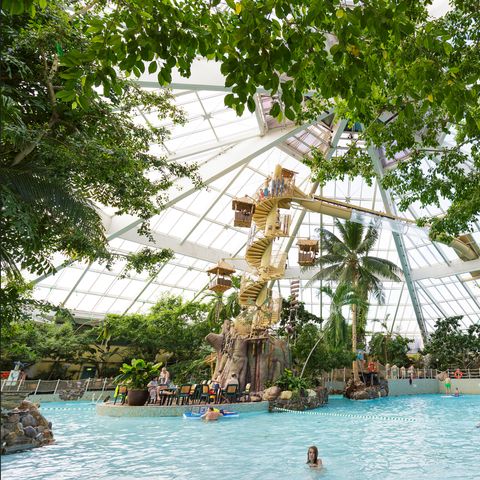 Center Parcs De Vossemeren - Camping Belgisches Limburg - Image N°4