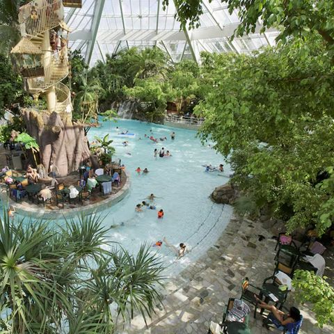 Center Parcs De Vossemeren - Belgisches Limburg - Image N°6