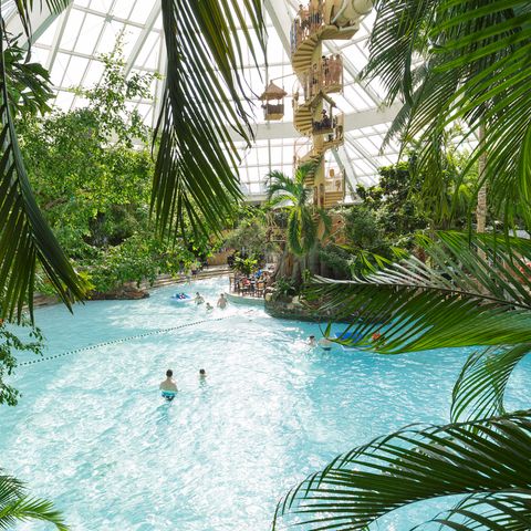 Center Parcs De Vossemeren - Camping Belgisches Limburg - Image N°3
