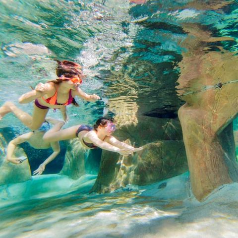 Center Parcs De Vossemeren - Camping Belgisches Limburg - Image N°6