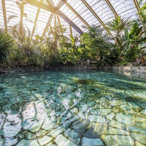 Center Parcs Park Erperheide - Belgisches Limburg - Image N°4