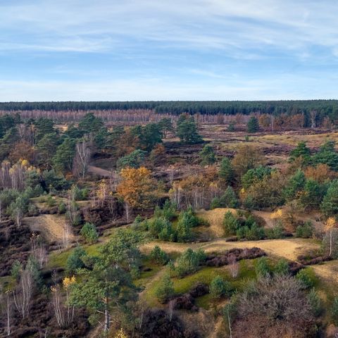 Center Parcs Park Erperheide - Belgisches Limburg - Image N°6