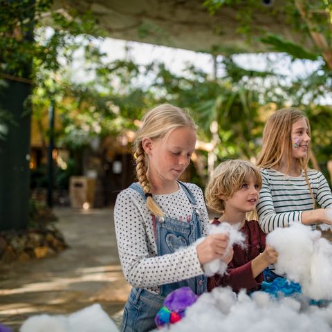 Center Parcs Park Erperheide - Belgisches Limburg - Image N°6