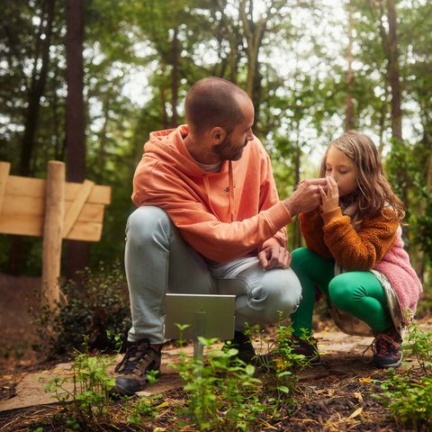 Center Parcs Park Erperheide - Belgisches Limburg - Image N°3