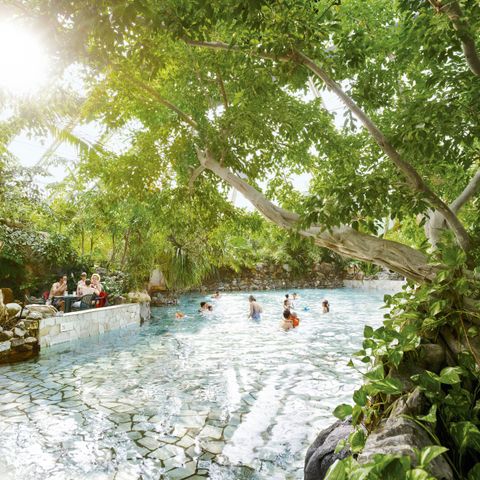 Center Parcs Park Erperheide - Camping Belgisches Limburg - Image N°6