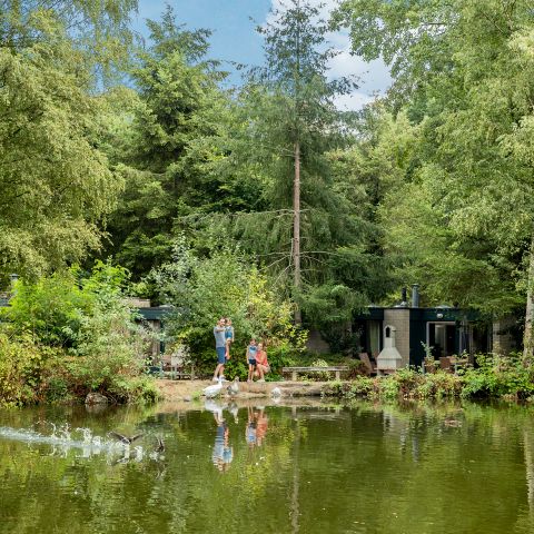 Center Parcs Park Erperheide - Camping Belgisches Limburg - Image N°3