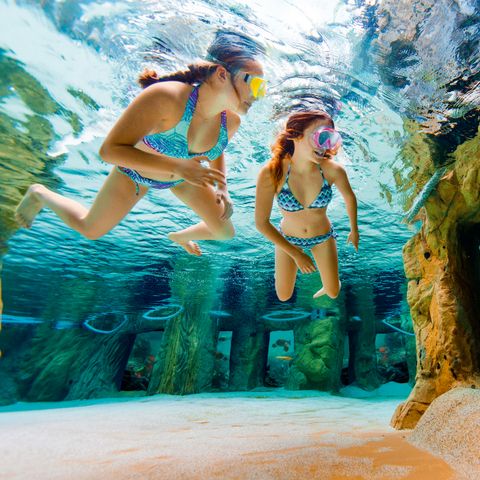 Center Parcs Park Erperheide - Camping Belgisches Limburg - Image N°5