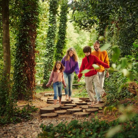 Center Parcs Park Erperheide - Belgisches Limburg - Image N°5