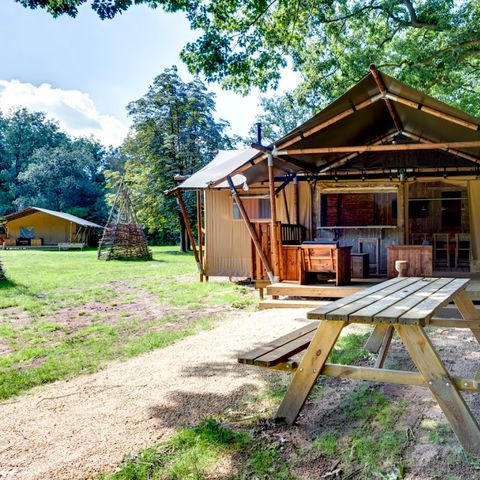 Zelt 5 personen - Lodge Dalfsen