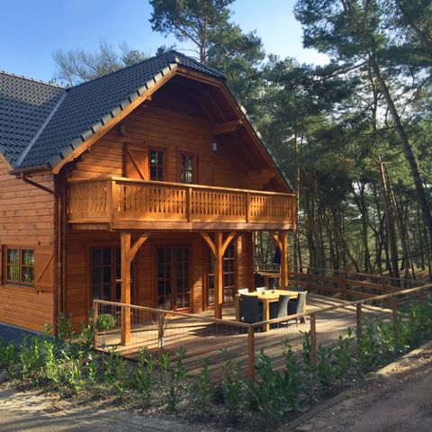 FERIENHAUS 12 Personen - Boekhorst l'etage Sauna