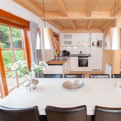 FERIENHAUS 12 Personen - Boekhorst l'etage Sauna