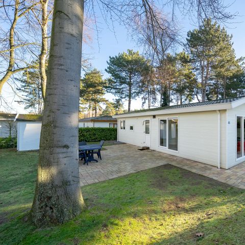 FERIENHAUS 4 Personen - Berkel 4