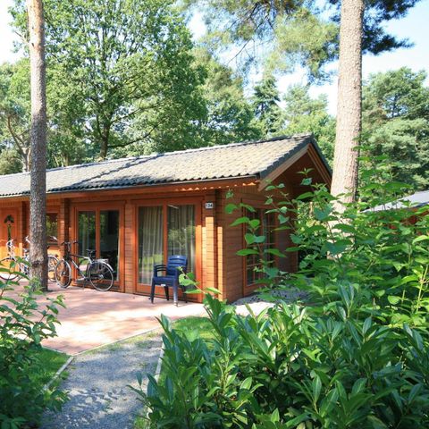 FERIENHAUS 4 Personen - Boekhorst