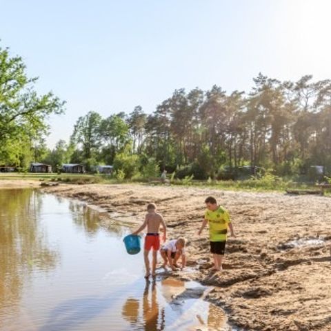 Vakantiepark Diana Heide - Camping Aa und Hunze - Image N°5