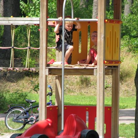 Vakantiepark Diana Heide - Camping Aa und Hunze - Image N°6
