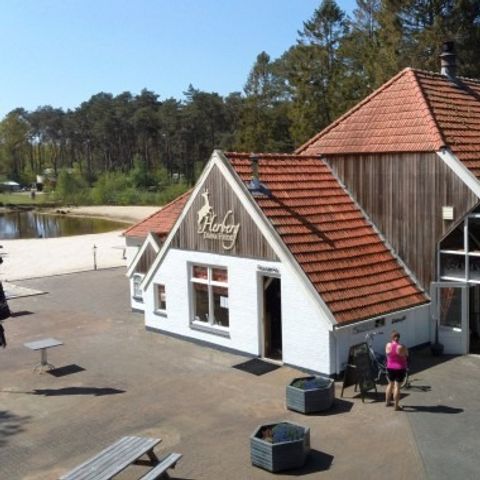 Vakantiepark Diana Heide - Camping Aa und Hunze - Image N°2