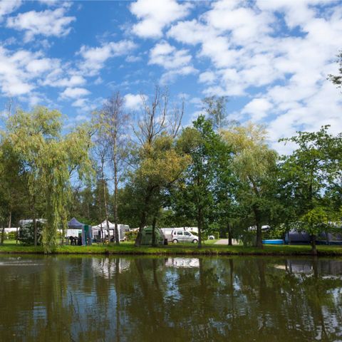 Oostappen park Parelstrand - Camping Belgisches Limburg - Image N°4