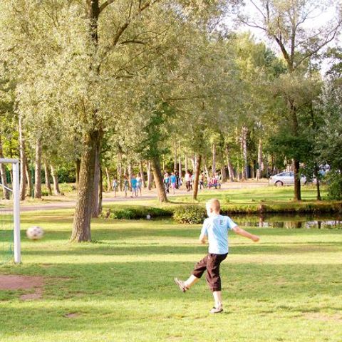 Oostappen park Parelstrand - Camping Belgisches Limburg - Image N°3