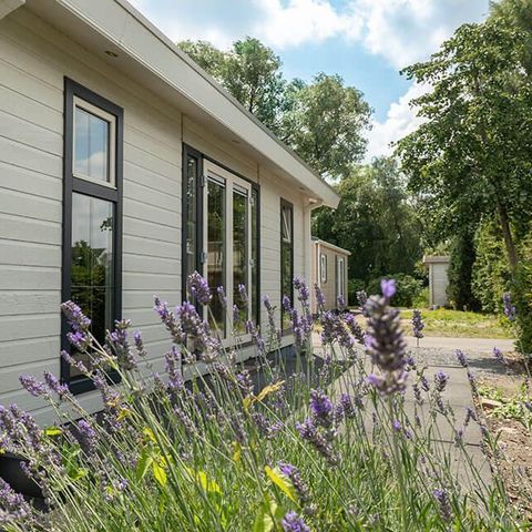 FERIENHAUS 4 Personen - Hackfort