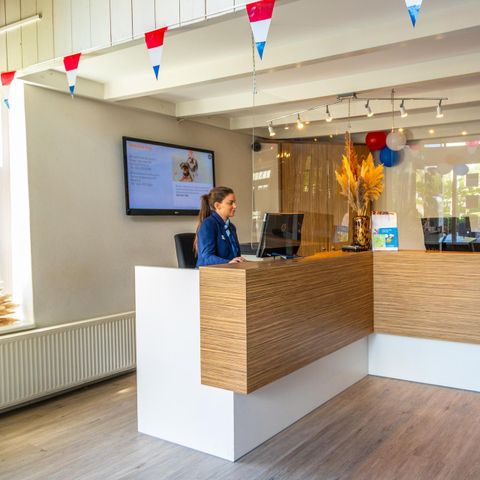 Bungalow 4 Personen - Würfel Maximum